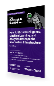 How Artificial Intelligence, Machine Learning, and Analytics Reshape the Information Infrastructure