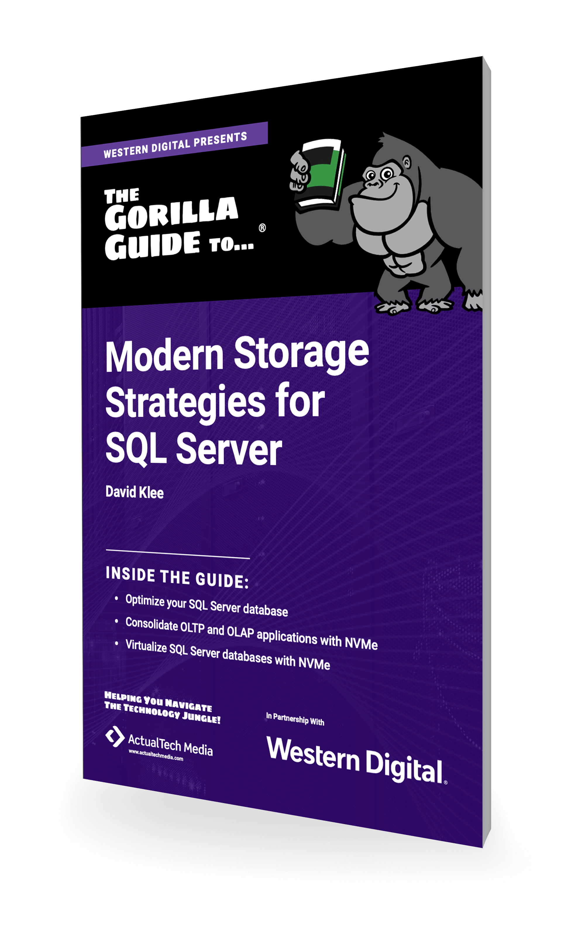 Gorilla Guide : Modern Storage Strategies for SQL Server | Gorilla Guide