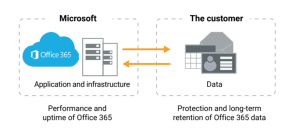 Figure 1 - The division of responsibilities between Microsoft and the Office 365 consumer