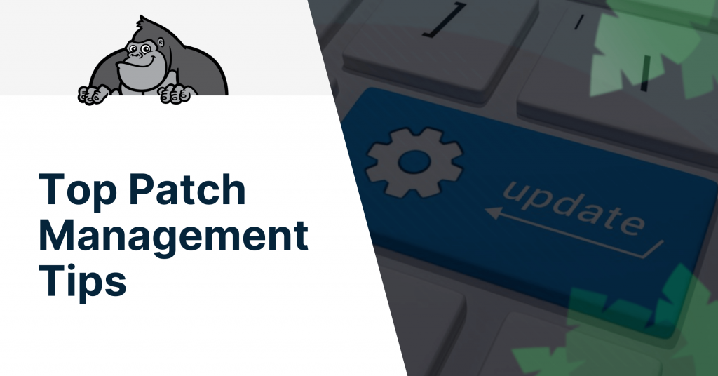 Top Patch Management Tips Gorilla Guide